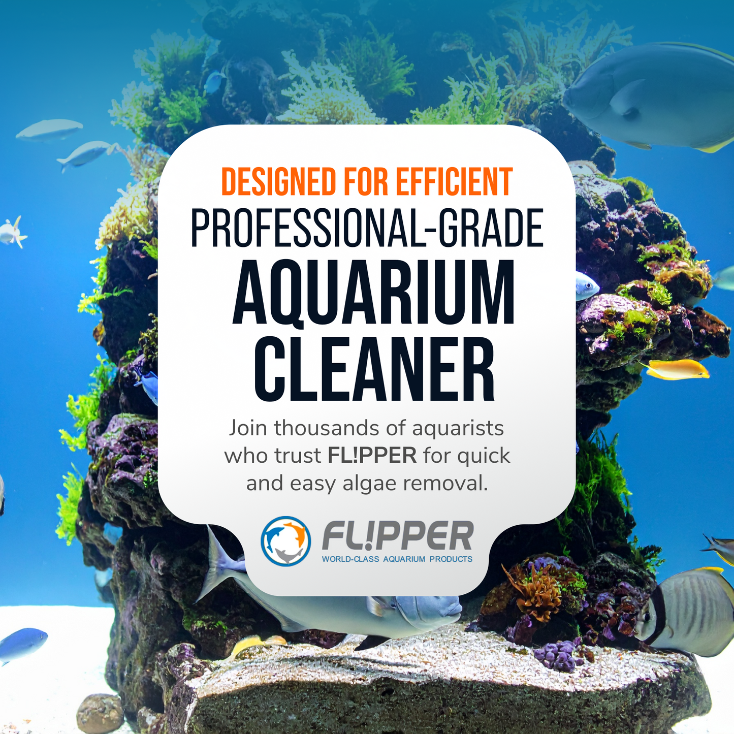 Flipper Edge 2 in 1 Floating Magnetic Aquarium Algae Cleaner (MAX)