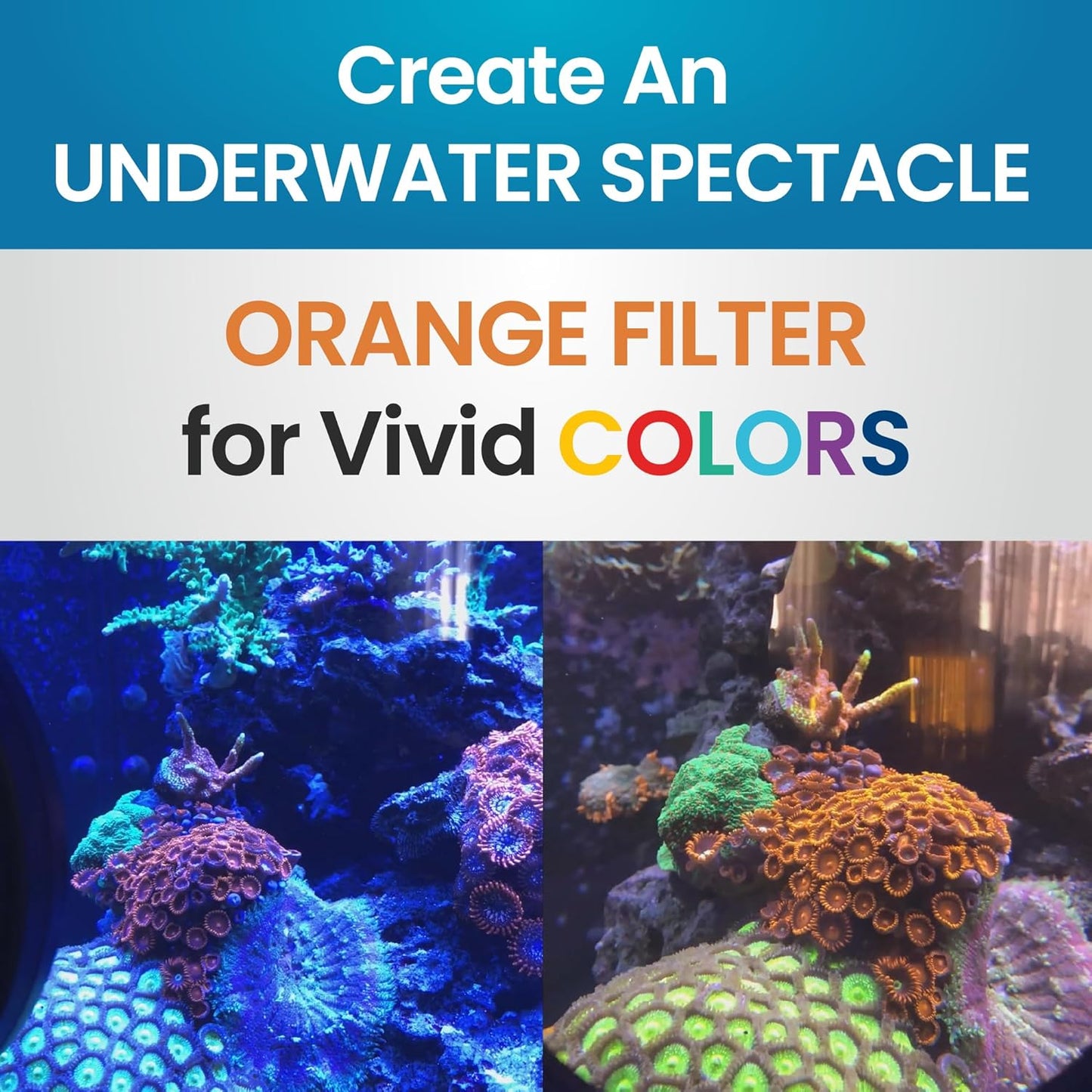 DeepSee Viewer Clear 4" - Orange Filter