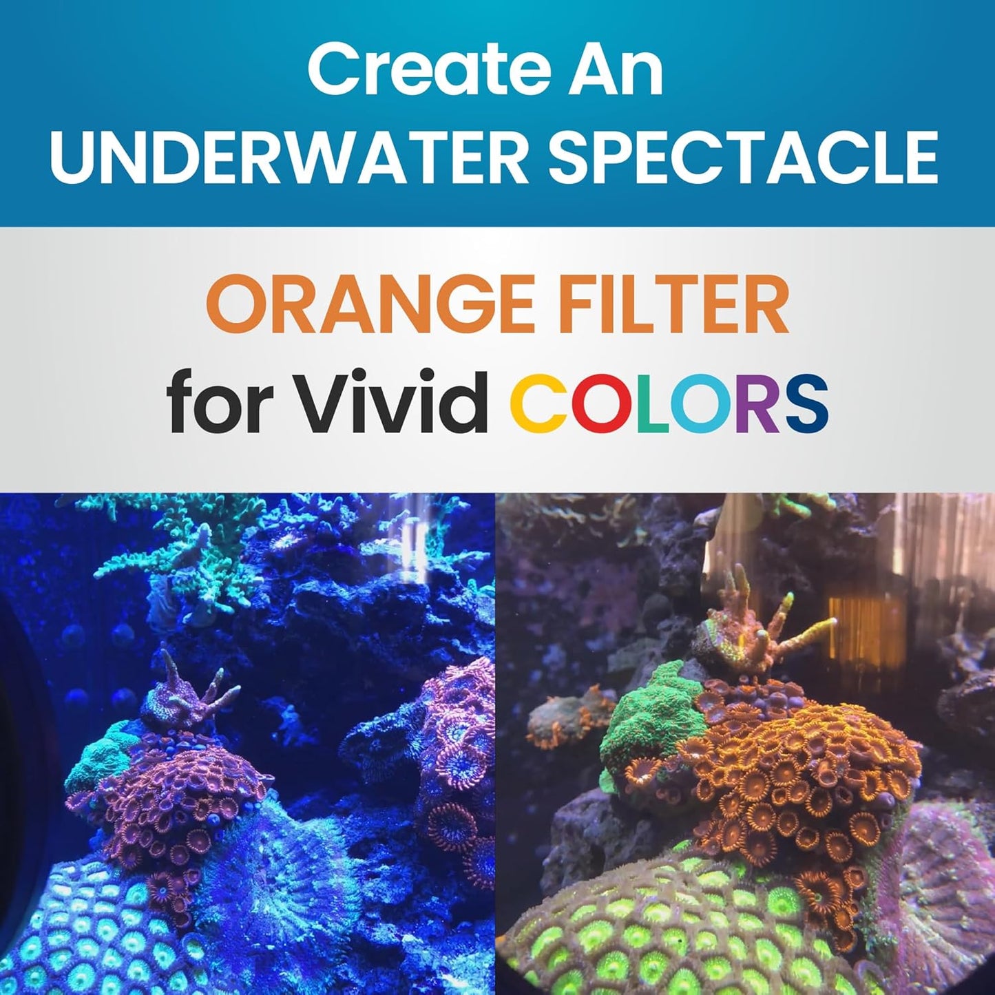 DeepSee Viewer Clear Max 5" - Orange Filter