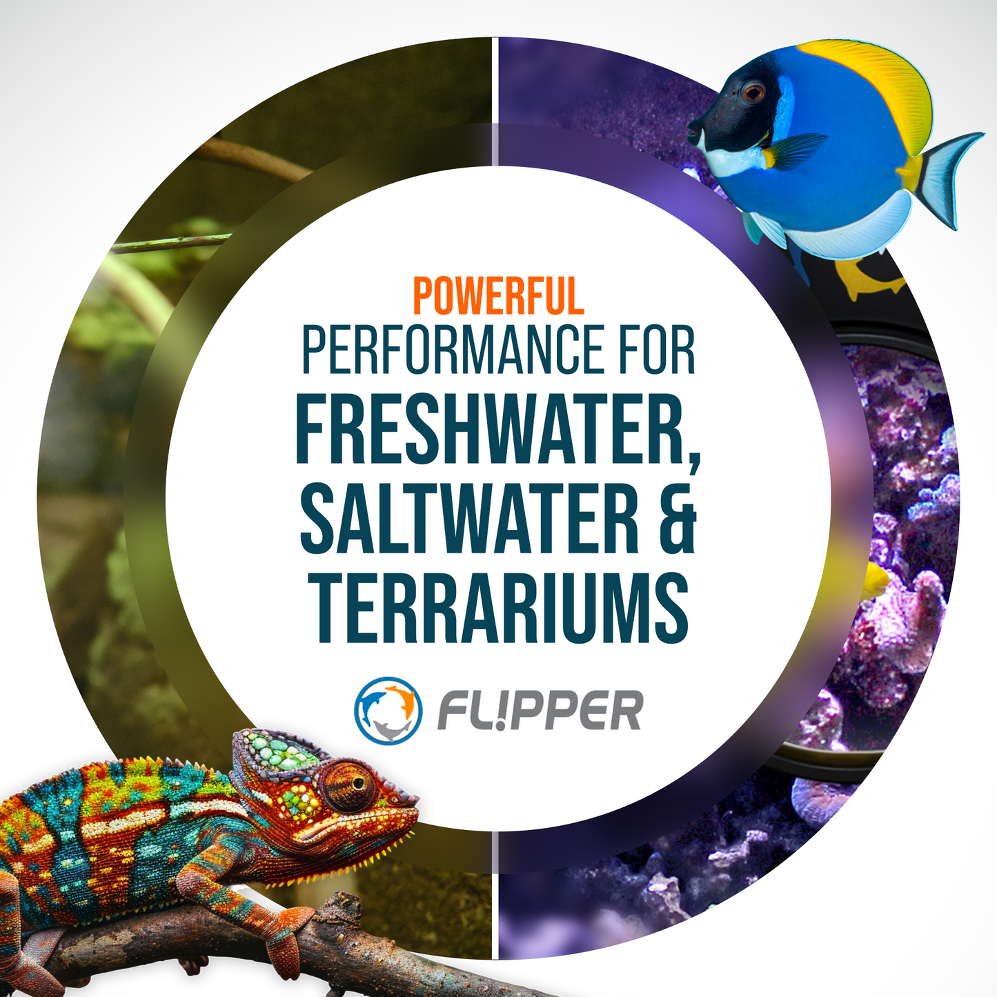 DeepSee Viewer Black 4"