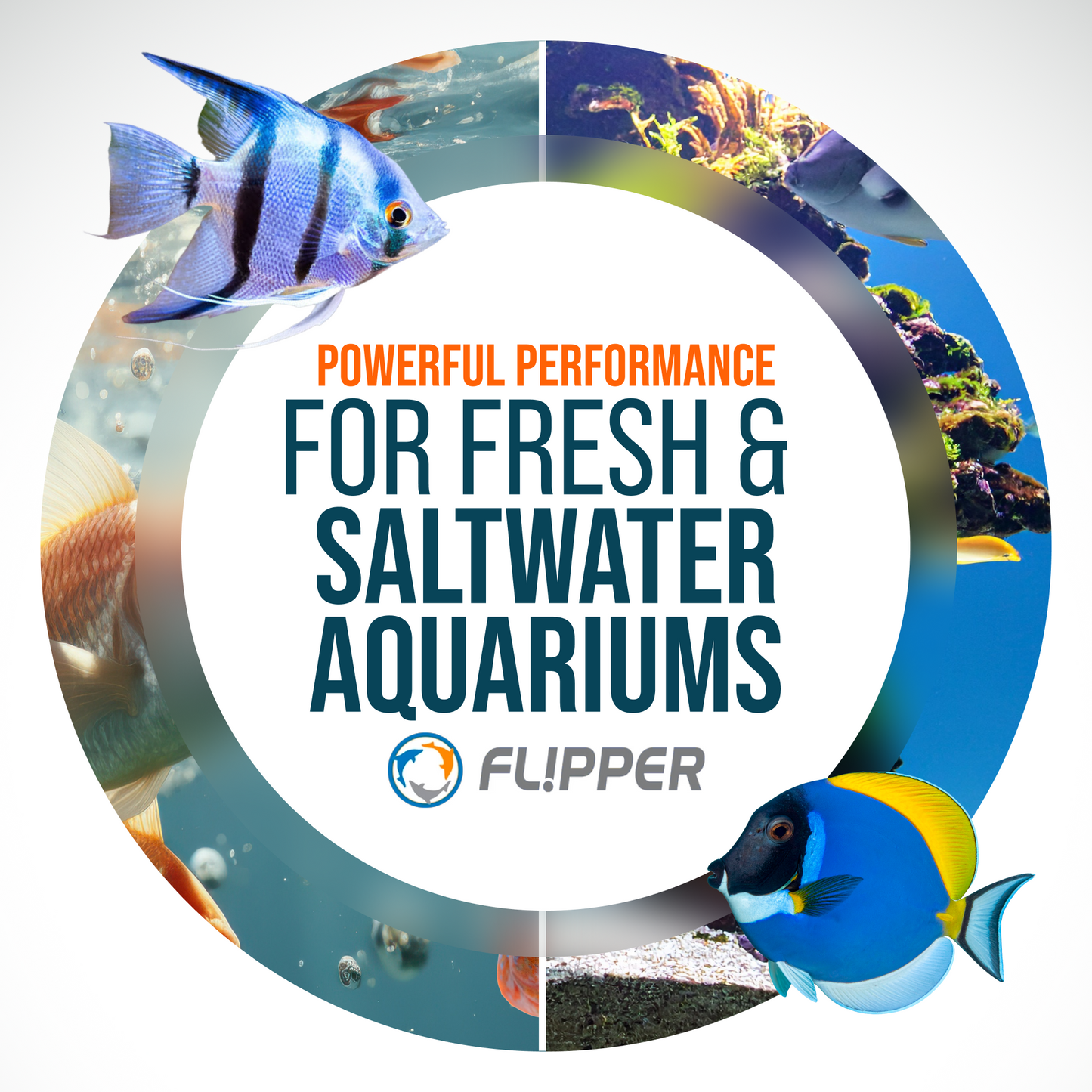 Flipper Edge 2 in 1 Floating Magnetic Aquarium Algae Cleaner (MAX)